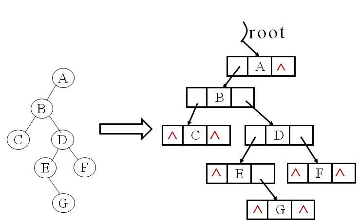 【数据结构——树与二叉树】m046518461的博客-