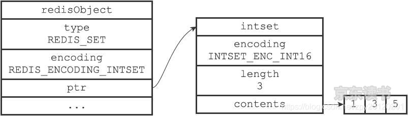 intset encoded collection object