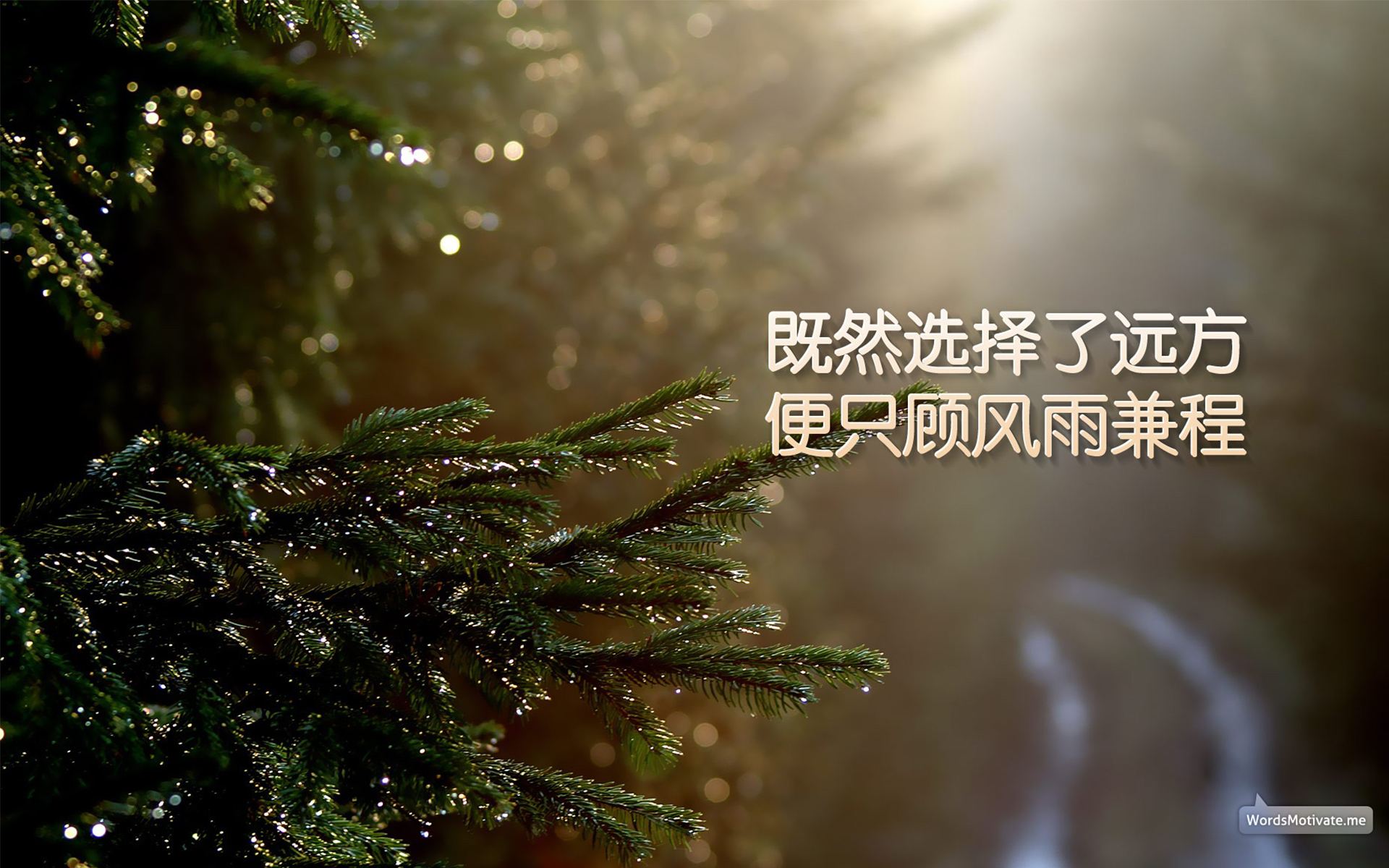 watermark,type_ZmFuZ3poZW5naGVpdGk,shadow_10,text_aHR0cHM6Ly9ibG9nLmNzZG4ubmV0L3FxXzM0OTUzMDUz,size_16,color_FFFFFF,t_70