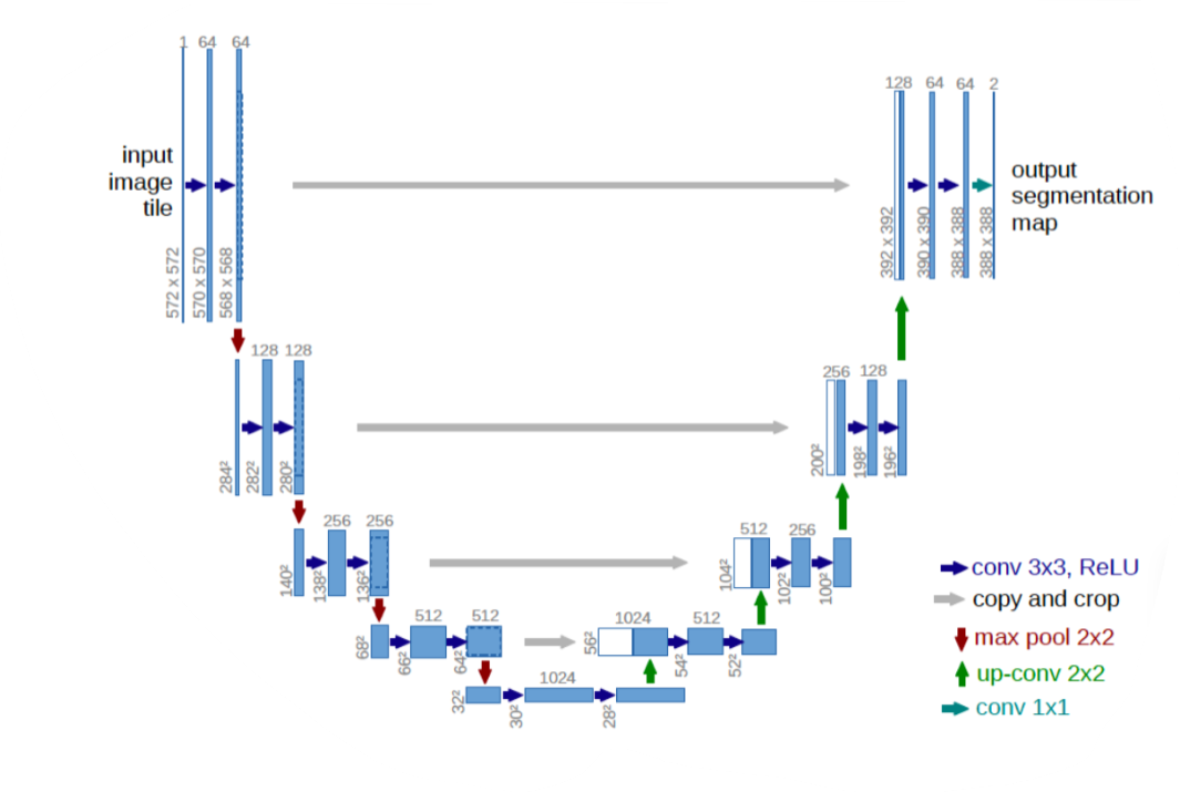 U-Net網路結構圖