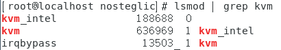 lsmod | grep kvm