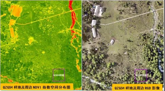 赛尔102S助力云南开展2020年白马雪山国家级自然保护区低空无人机生态监测