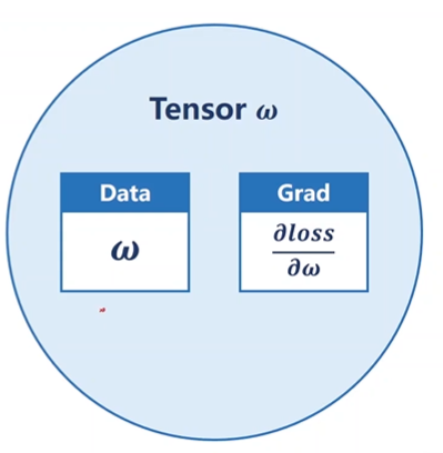 06 pytorch实现反向传播