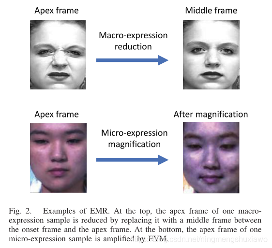 Nlp Micro Expression 论文翻译(8)---A Neural Micro-Expression Recognizer_megc2019-CSDN博客
