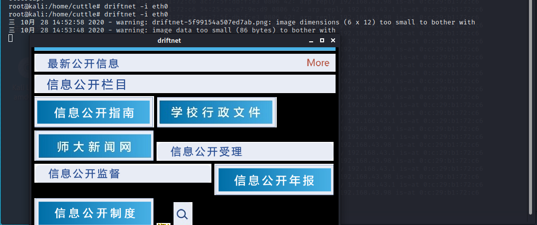 ARP攻击原理和kali实现ARP攻击