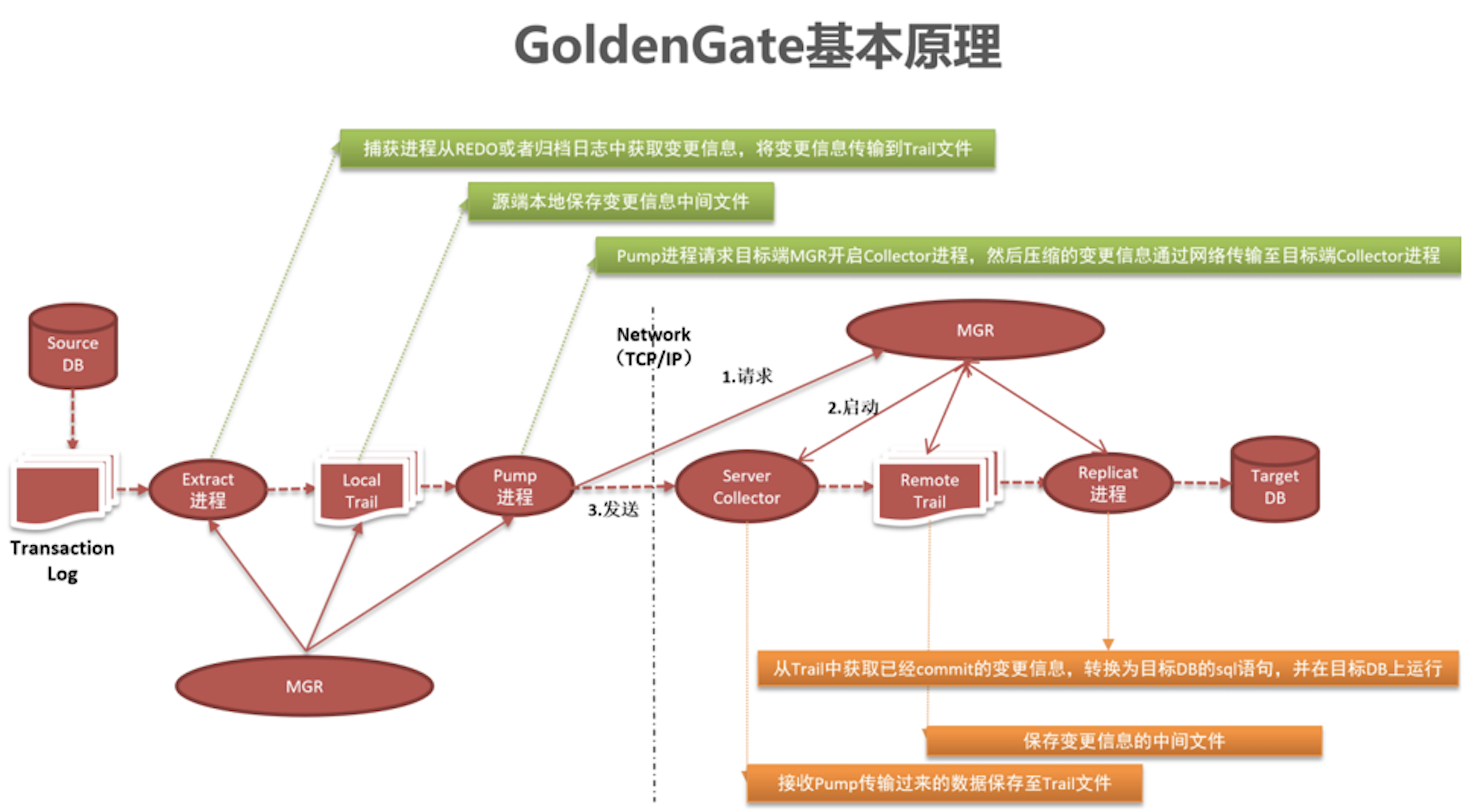 oracle goldengate(ogg)
