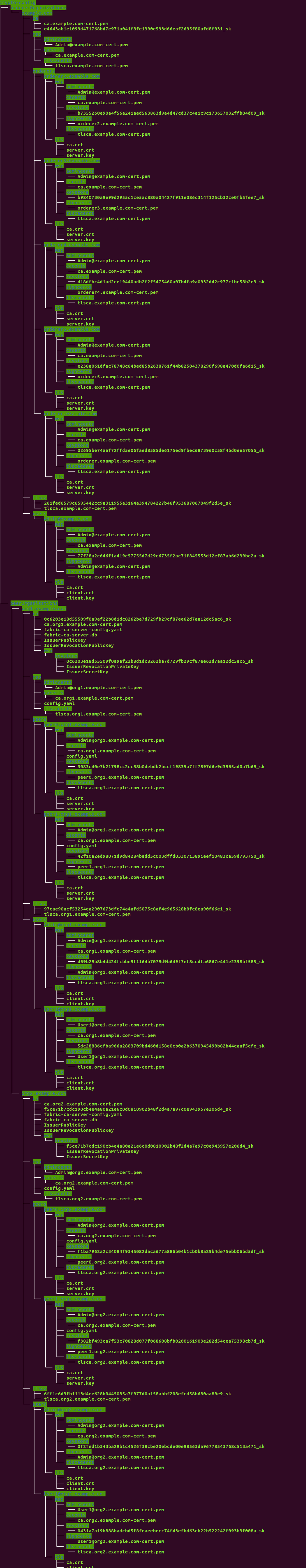 在这个Fabric网络中orderer2.example.com,orderer3.example.com,orderer4.example.com,orderer4.example.com这四个排序服务节点都没有用的，只用到了orderer。example.com
