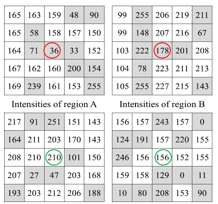 从一张图片里面抽取了5X5的区域