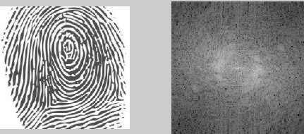 二维傅里叶变换深度研究-图像与其频域关系