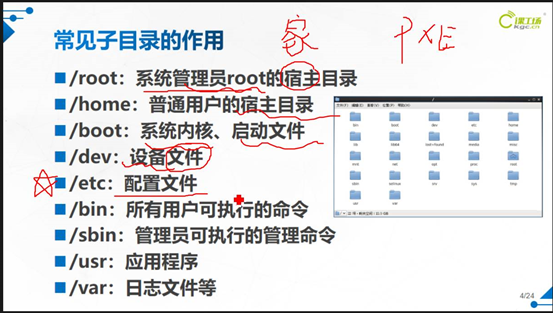 Linux目录结构——树形目录结构-CSDN博客