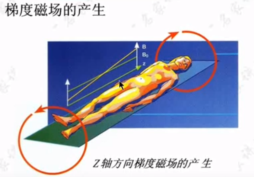 核磁共振成像基本原理——杨正汉(1)_人体置于主磁场中,会产生磁化