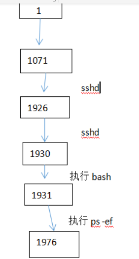 2020 最新 Linux进程管理题目三