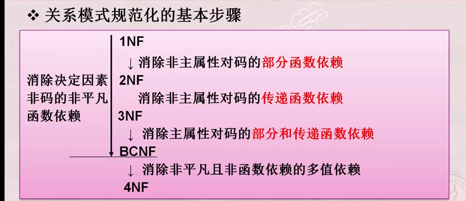 主属性，范式，超码，码，非主属性，全码