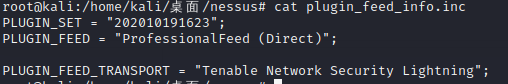 图片[25]-kali2020.3安装Nessus8.12.1并解除IP限制-杂七杂八社区-玩网社区-FancyPig's blog