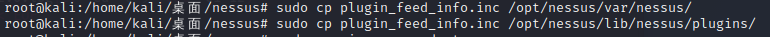 图片[29]-kali2020.3安装Nessus8.12.1并解除IP限制-杂七杂八社区-玩网社区-FancyPig's blog