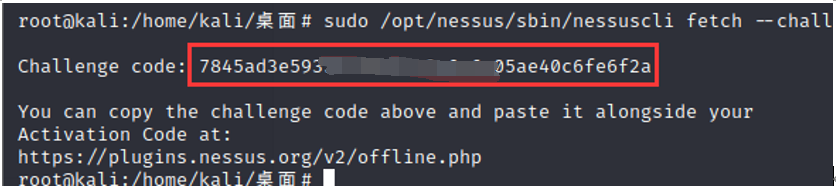 图片[13]-kali2020.3安装Nessus8.12.1并解除IP限制-杂七杂八社区-玩网社区-FancyPig's blog