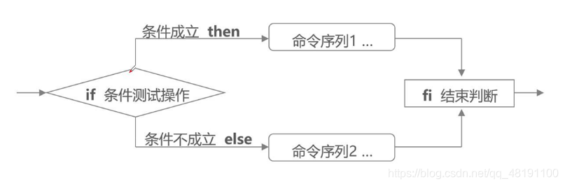 双分支