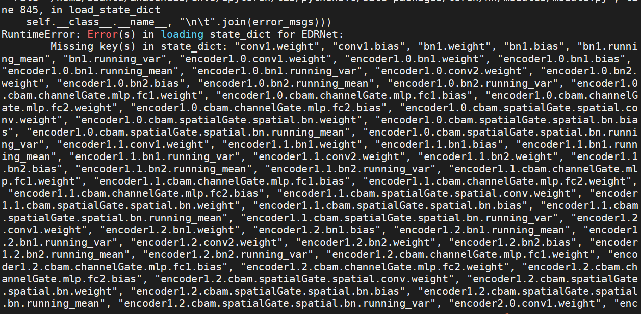 pytorch加载训练好的模型报错记录