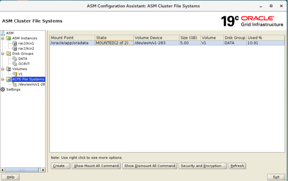 Oracle 19C ADVM与ACFS的使用_oracle 19c acfs代理实例CSDN博客