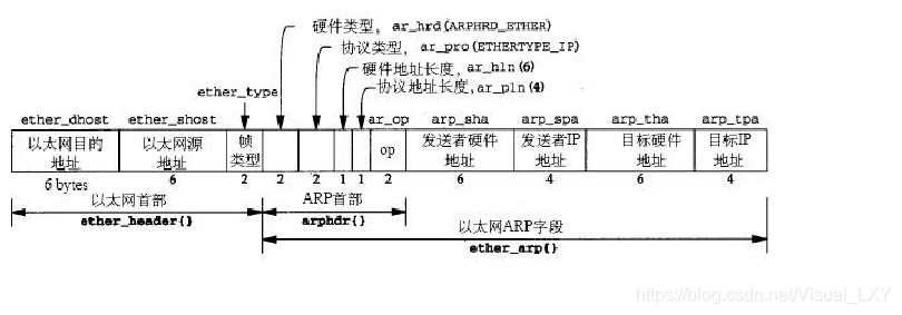 ARP报文格式