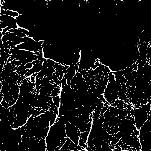 图3雷达图相位一致性边缘线