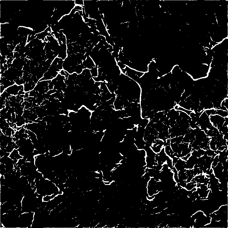 图3光学图相位一致性提取的边缘线