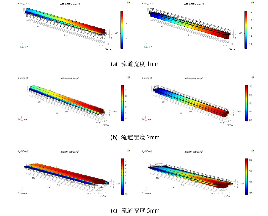 不同流道宽度燃料电池氧气(左)和氢气(右)浓度分布