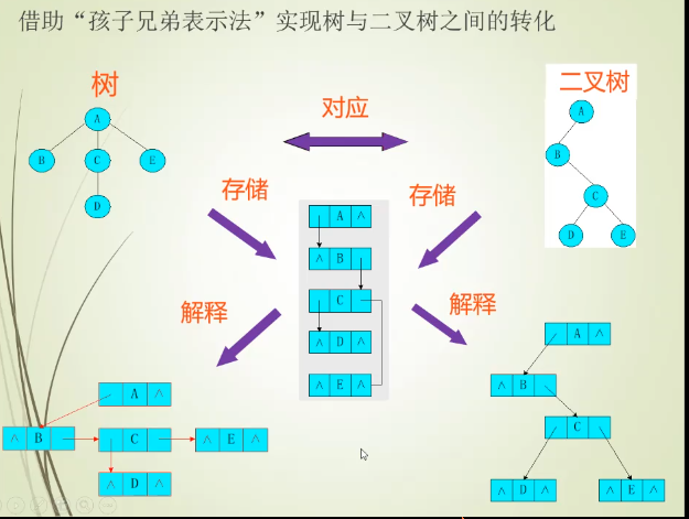 4.1树的存储结构