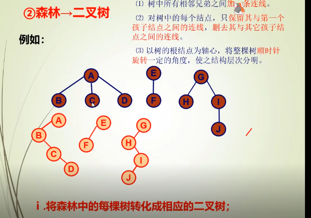 4.1树的存储结构