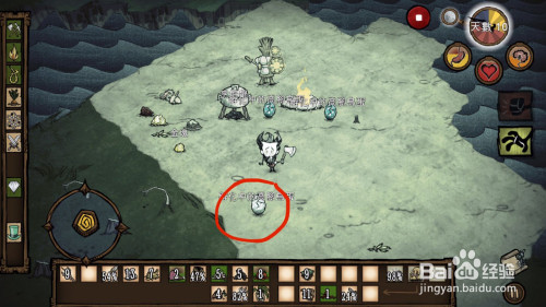 饥荒高脚鸟蛋孵化教程