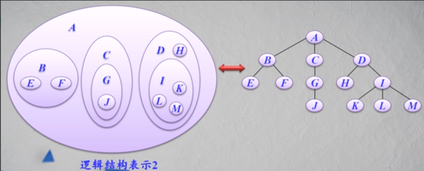 (2)文氏图表示法:使用集合以及集合的包含关系来描述树结构.