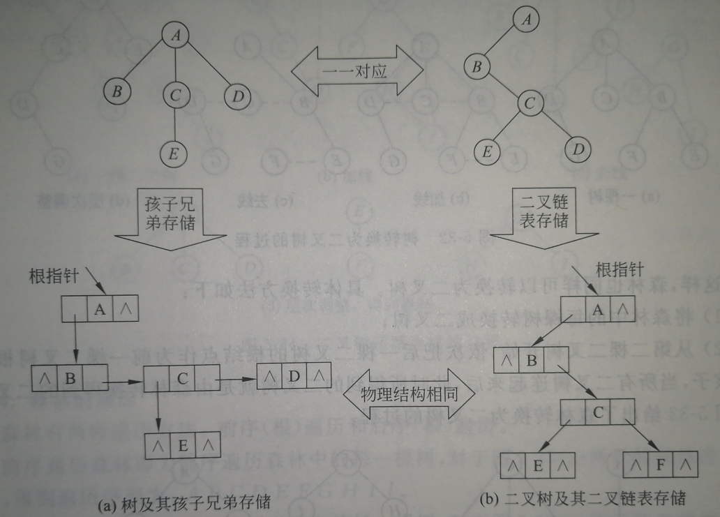 Tree Conversion Methods Tree, forest and binary tree conversion, forest traversal - Programmer ...
