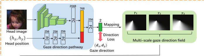 Gaze direction pathway