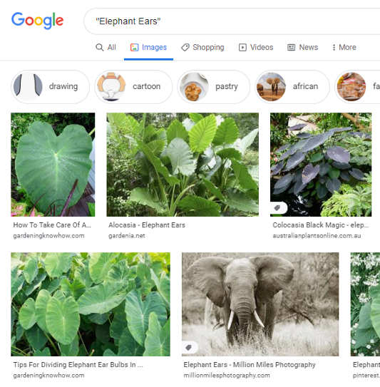 建立一个植物毒性分类器：数据准备和清理