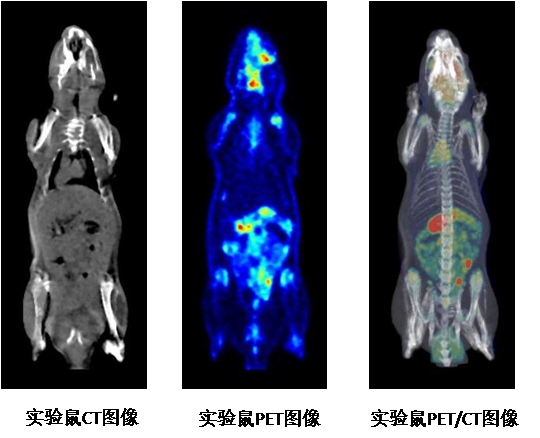 PET,CT图像融合笔记_ct和pet归一化-CSDN博客