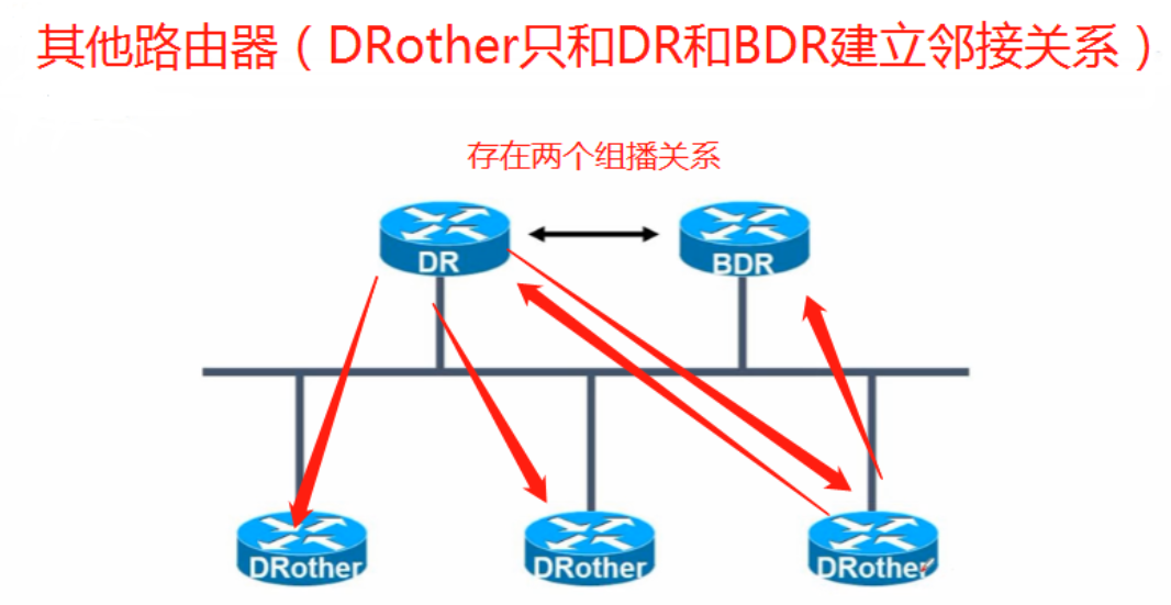 关于OSPF中的DR和BDR_designated router-CSDN博客