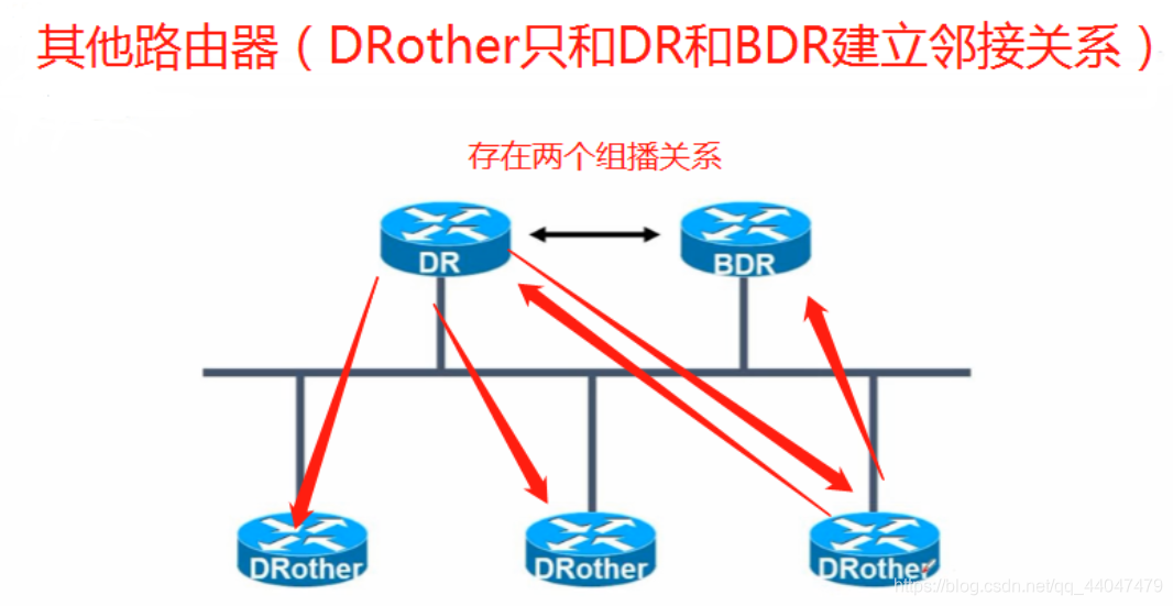 关于OSPF中的DR和BDR_designated router-CSDN博客