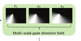 不同γ值对应的注视方向场