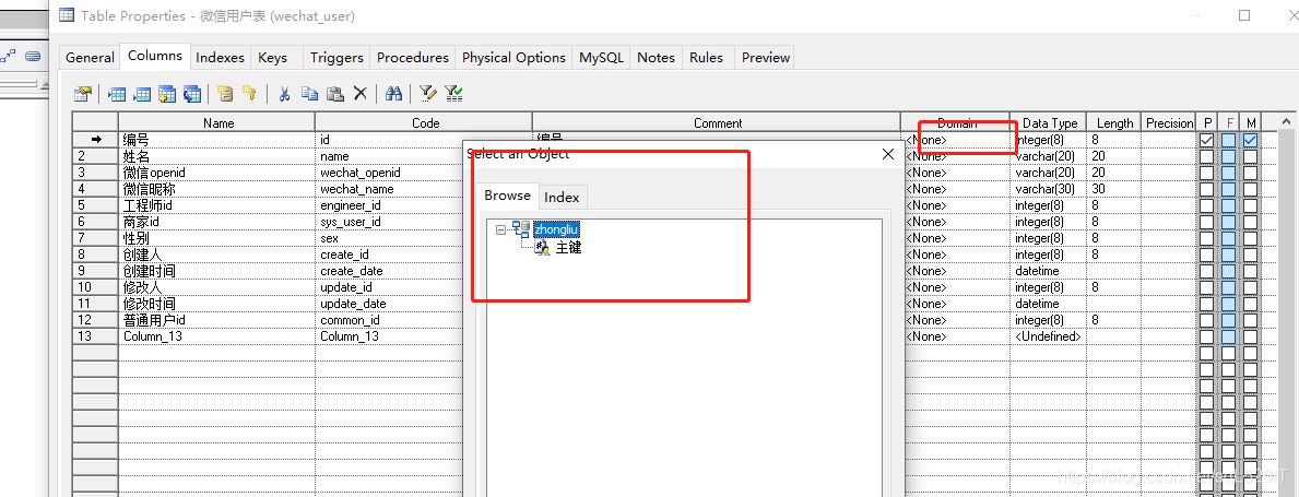powerDesinger 设置域 domains_powerdesigner的domain怎么赋值-CSDN博客