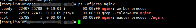 查看nginx进程