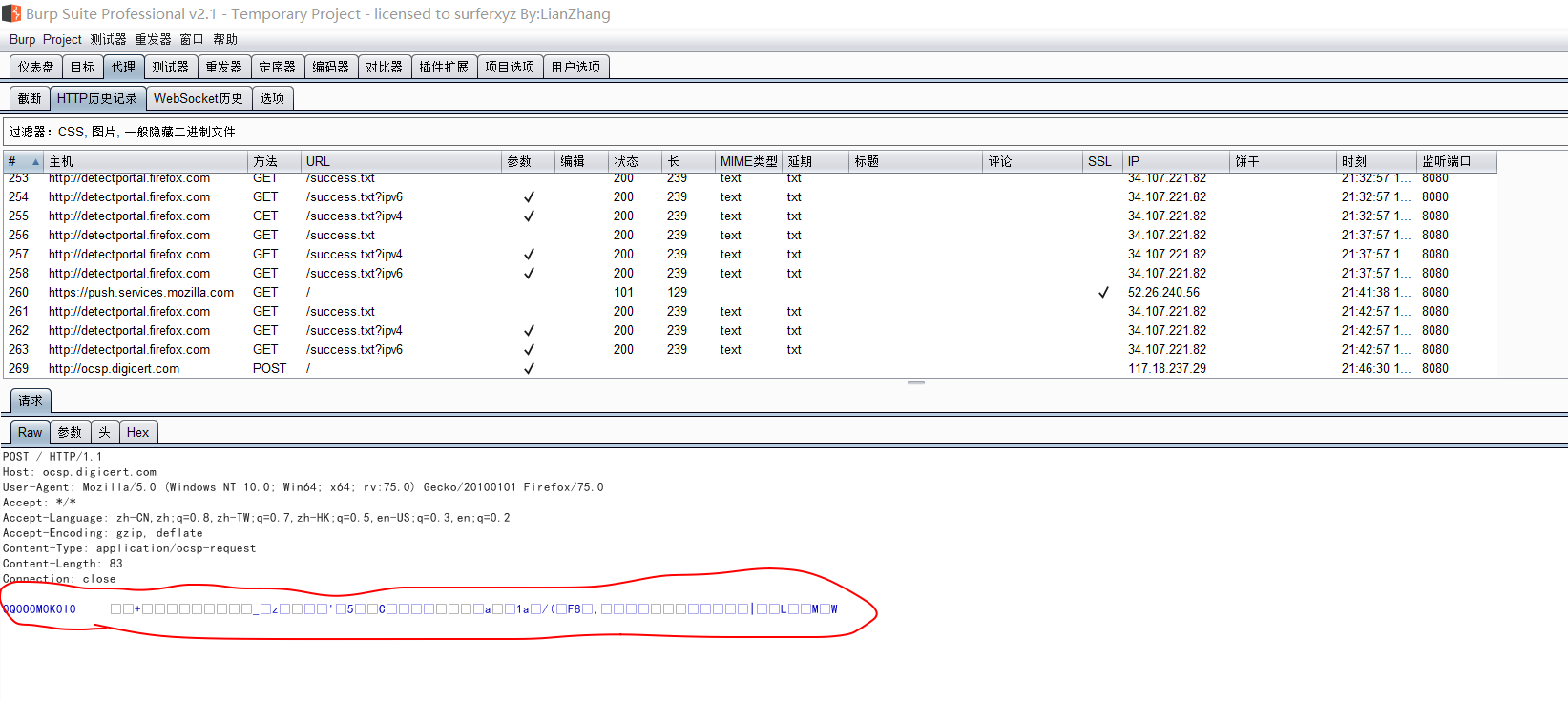 Burpsuite pro v2.1的方框问题