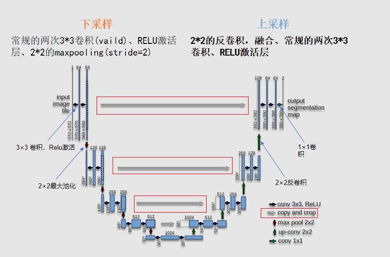 unet论文研读以及pytorch下环境搭建