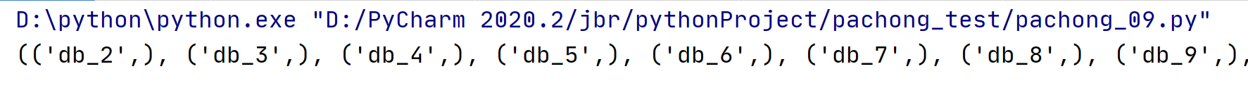 python手动抛出异常