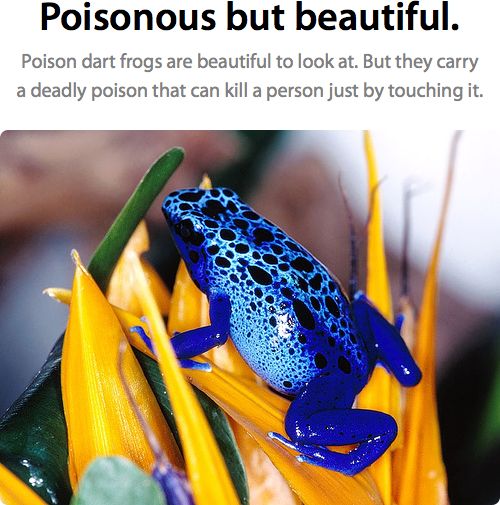 翻译将内容划分为可浏览页面的方法