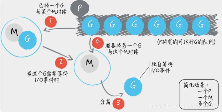 M、P、G 之间的关系（简化版）