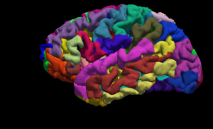 【freesurfer学习1】freesurfer结构像批处理