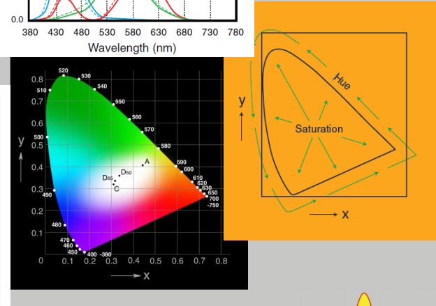 颜色科学基础_color 科学-CSDN博客