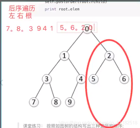 2020-11-17数据结构与算法(6) 二叉树及广度深度遍历