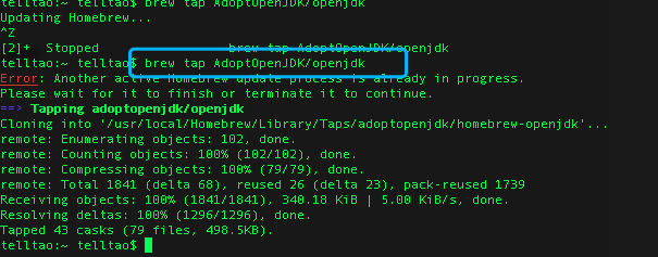 install openjdk on mac