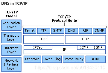 TCP/IP中的DNS服务层